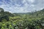 Foto - Kolumbie a Panama + KÁVOVÁ FARMA + TROPICKÉ OSTROVY BOCAS DEL TORO