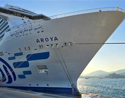 Aroya (7)