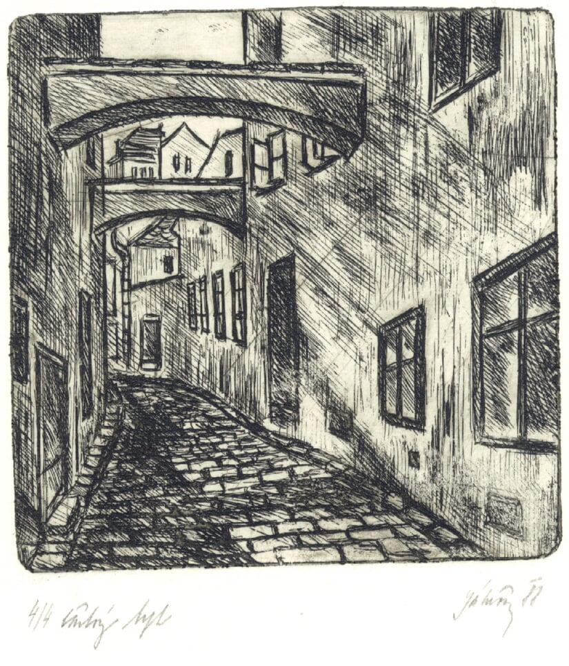 Janeova graf 05