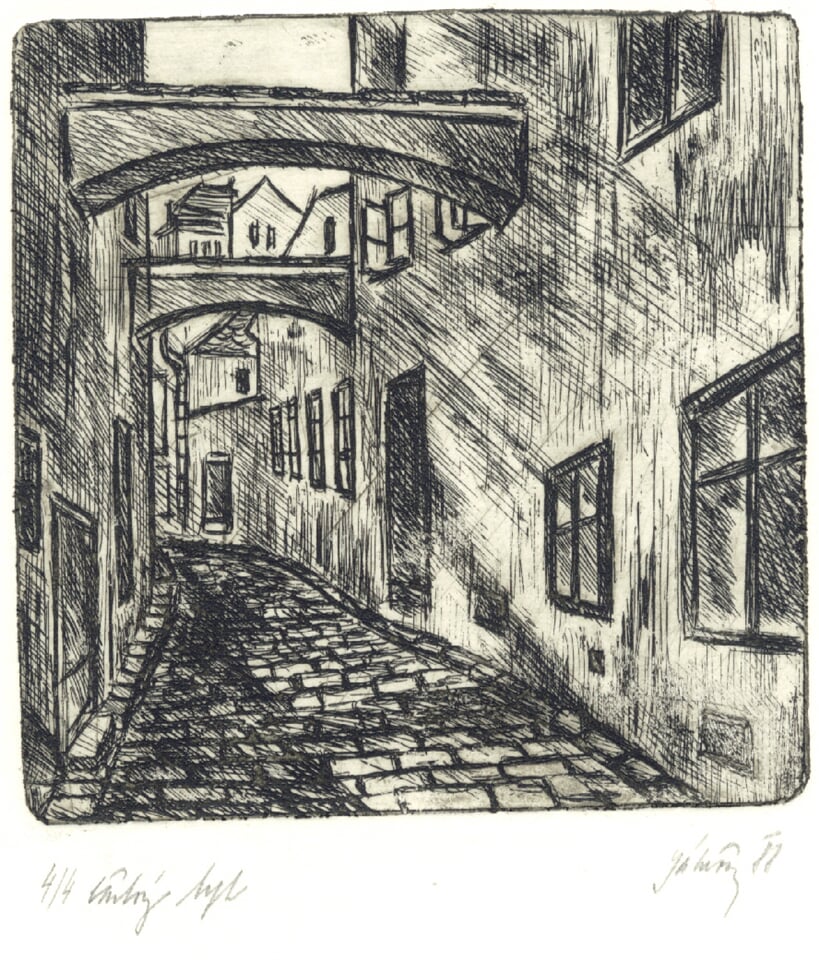 Janeova graf 05