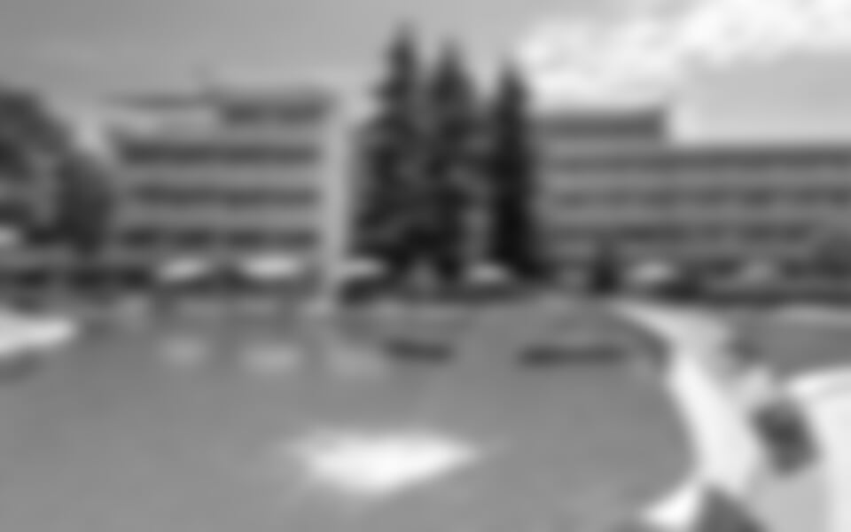 Primorsko - Hotel Belitsa