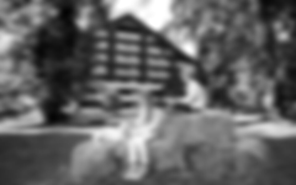 Bled, Savica 4* Garni - 6 denní Relax