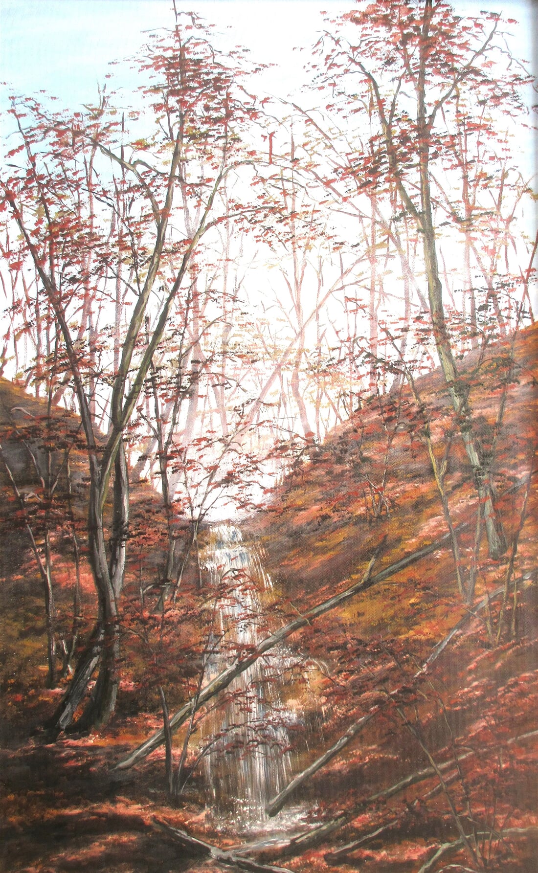 vodopád u Rokytné 100x60