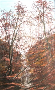 vodopád u Rokytné 100x60