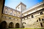 Foto - To nejkrásnější z Provence + ZÁTOKY CALANQUES + OCHUTNÁVKA VÍN A LIKÉRU CASSIS