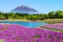 Foto - To nejlepší z Japonska + KVĚTINOVÝ FESTIVAL U HORY FUDŽI