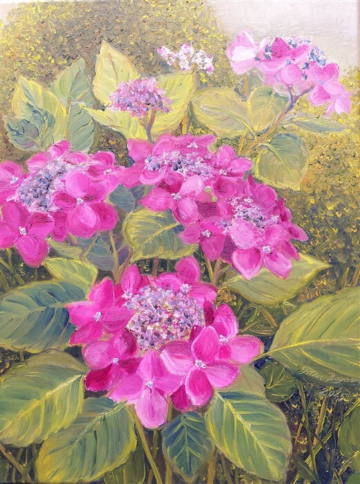 Hortenzie, olej na plátně, 20 x 35 cm
