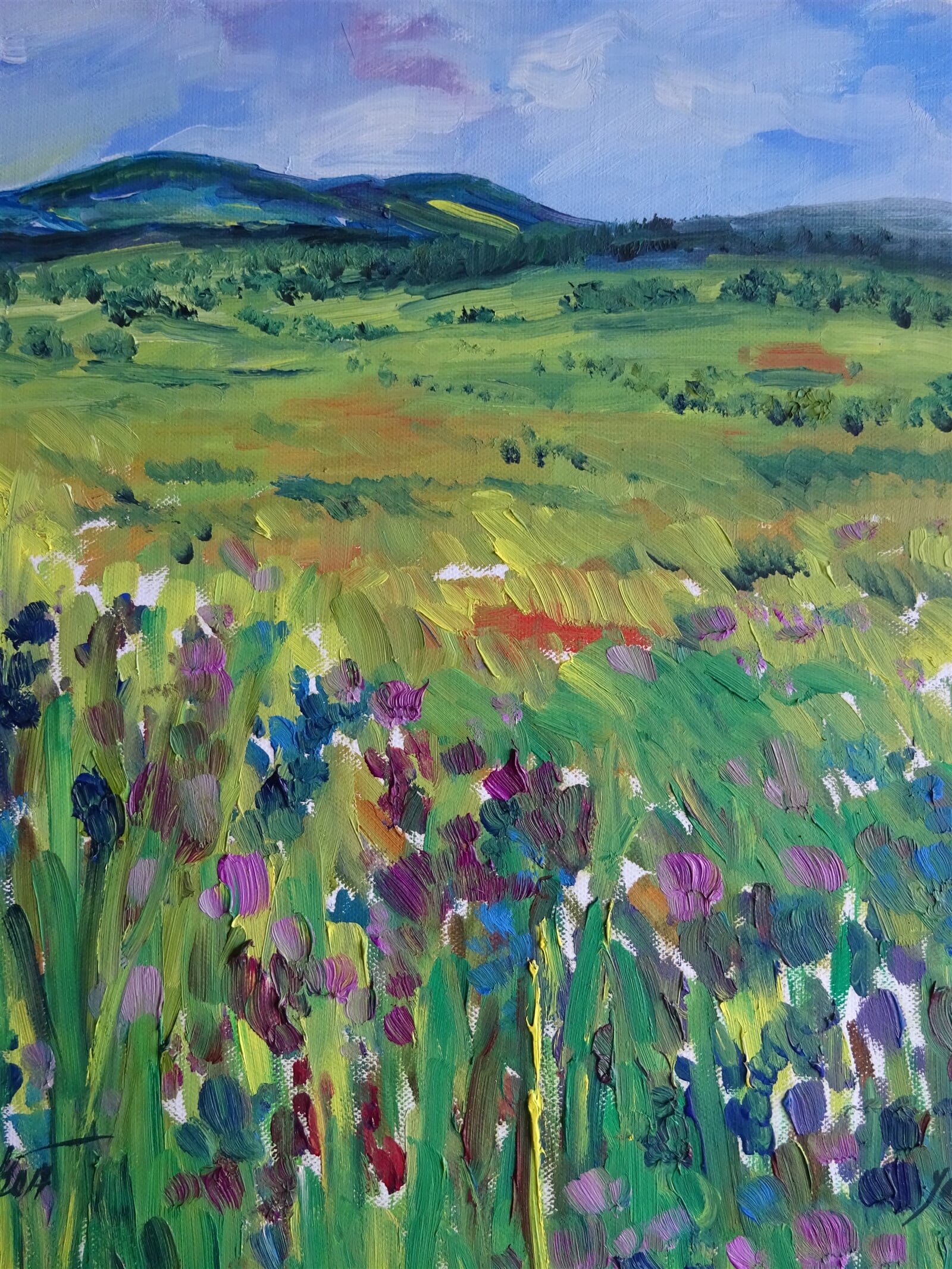 Jaroslava Jáněová: U Volar, Šumava, 50 × 40 cm