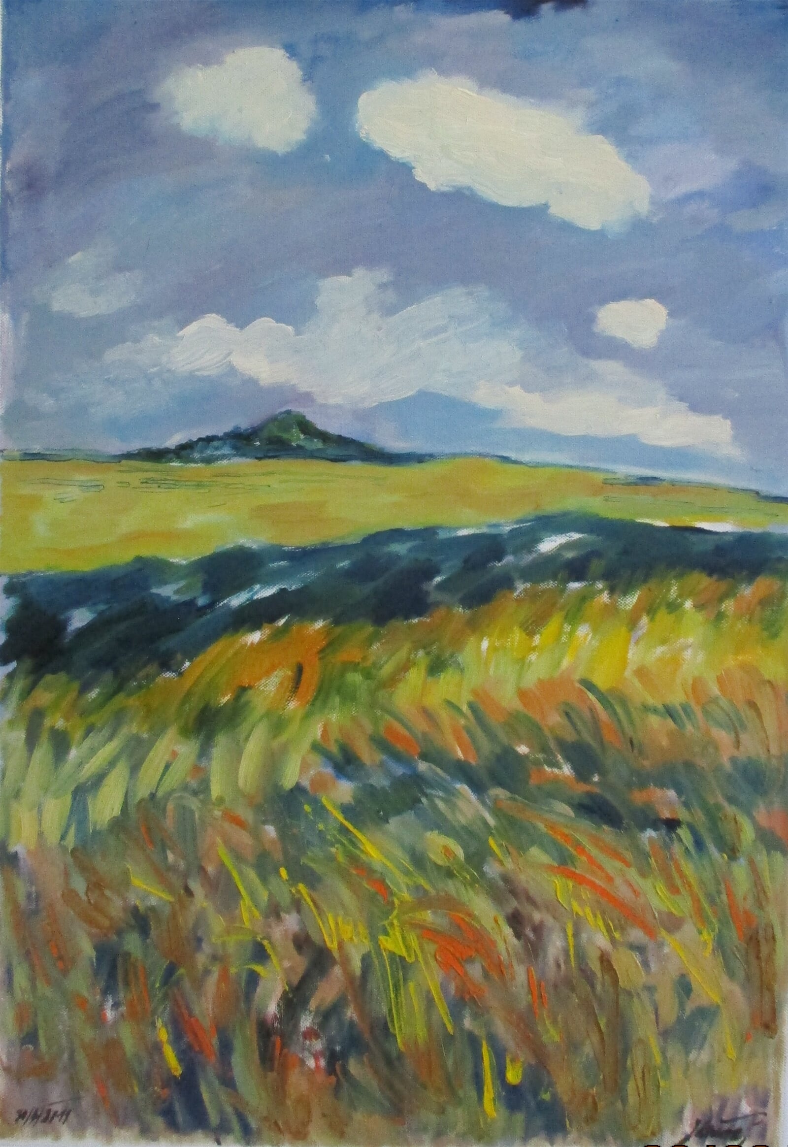 Jaroslava Jáněová: Horké odpoledne na Zebínu, 60 × 40 cm