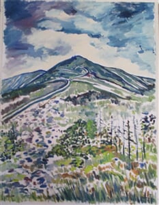 IMG 0383