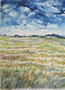 IMG 0382