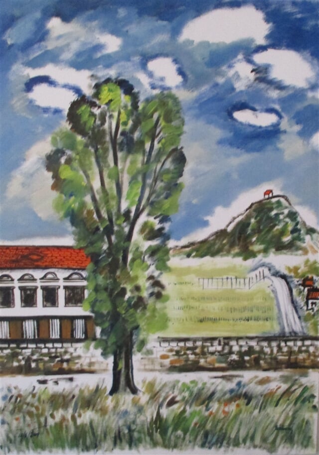 Pohled z Libosadu na Zebín