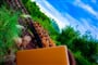 Foto - To nejlepší z Floridy + UNIVERSAL STUDIOS + SLAVNÉ PLÁŽE S KOUPÁNÍM
