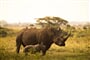 Foto - Keňa, Tanzanie - perly východní Afriky s českým průvodcem