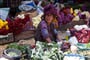 Foto - To nejlepší z Guatemaly + MAYSKÁ KULTURA + KOUPÁNÍ NA OSTROVĚ V BELIZE