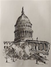 U.S.Capitol, Washington D.C.