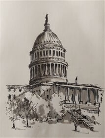 U.S.Capitol, Washington D.C.