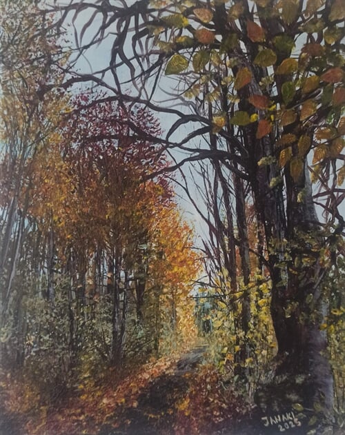 Lesní alej do Kynžvartu