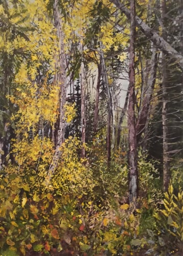 IMG 20250806 205915 (2)