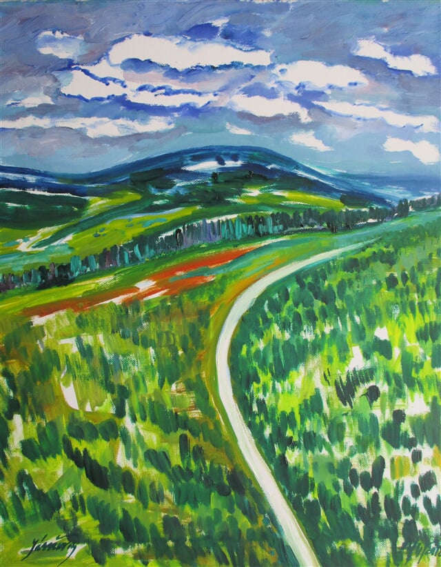 Černá hora z Rozhledny Hnědý Vrch