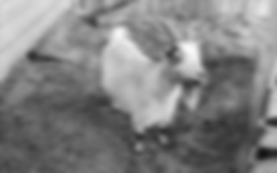 Monte Bondone - Hotel Monte Bondone v Monte Bondone/Vaneze ***