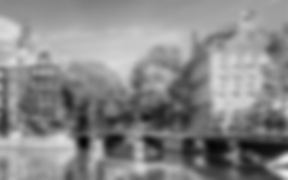 Holandsko - Země Tulipánů