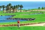 Jaz-Makadi-Saraya-Resort-29
