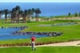 Jaz-Makadi-Saraya-Resort-31