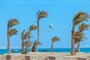 Hotel Continental Hurghada: fotografie vybavení exteriérů a interiérů ubytování.