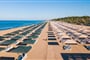 Sentido-Kamelya-Selin-2025-6