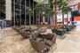 Serenity-Alma-Heights-14