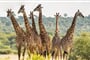 Foto - Tanzanie - africká dramata koloběhu života s českým průvodcem