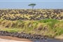 Foto - Tanzanie - africká dramata koloběhu života s českým průvodcem
