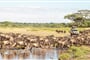 Foto - Tanzanie - africká dramata koloběhu života s českým průvodcem