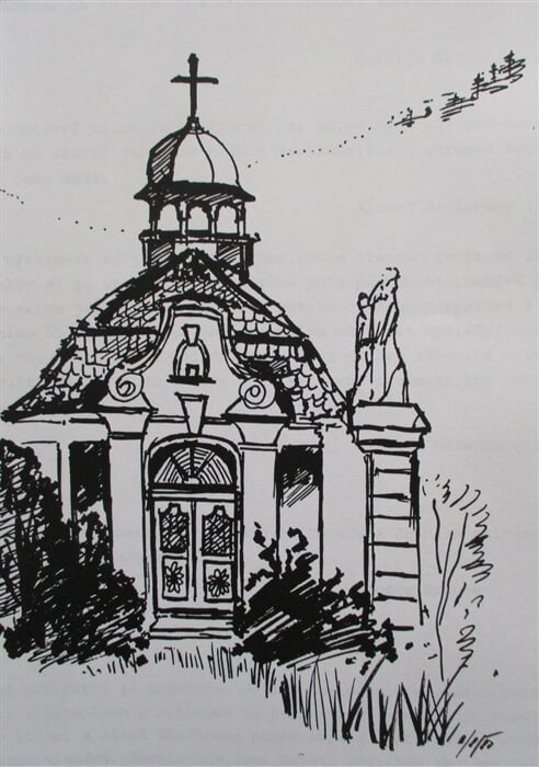 IMG 6556