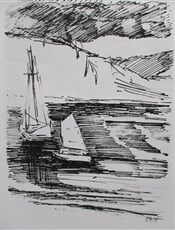 Máchovo jezero
