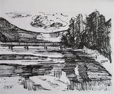 Máchovo jezero