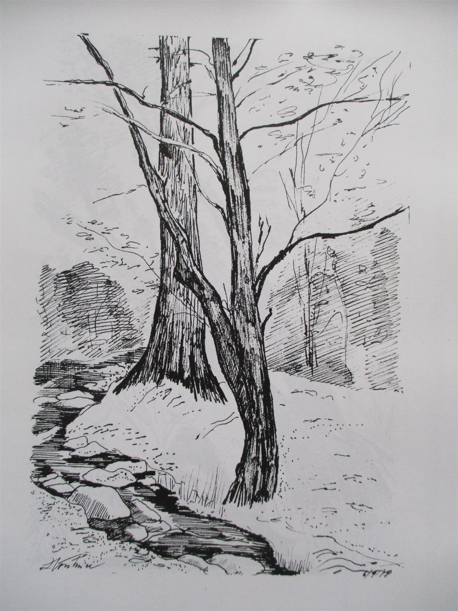 Jaroslava Jáněová: Žloukovice, 21 × 15 cm