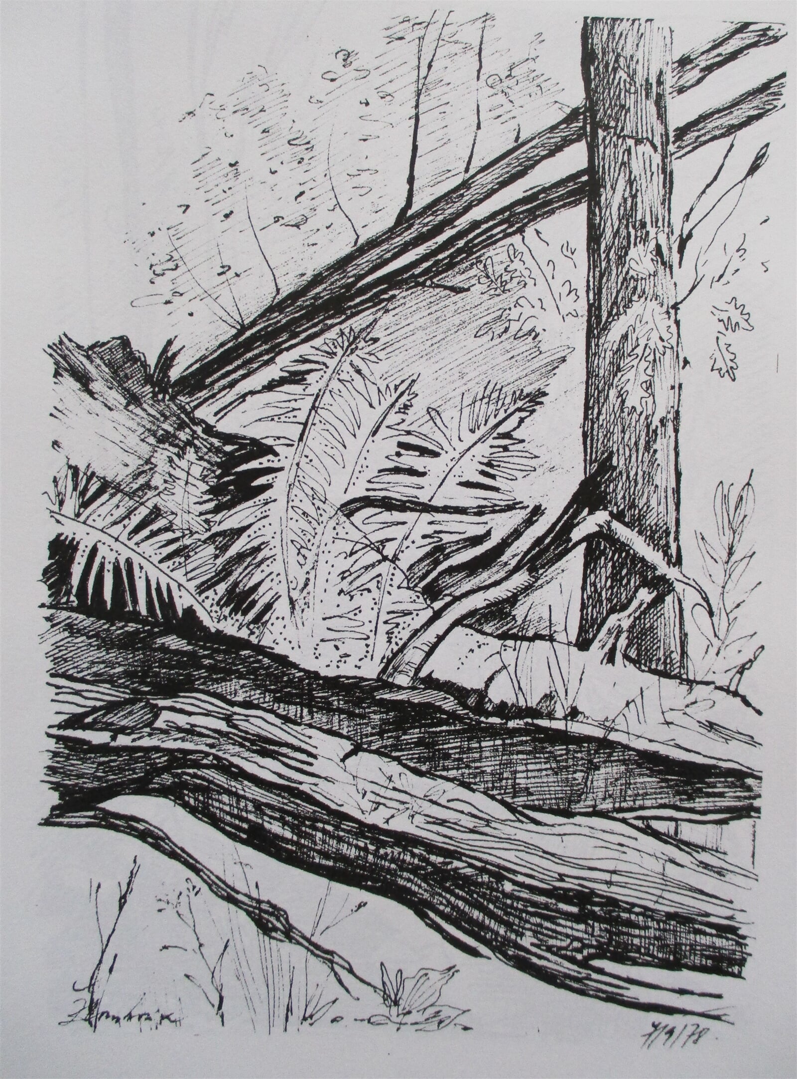 Jaroslava Jáněová: Žloukovice, 21 × 15 cm