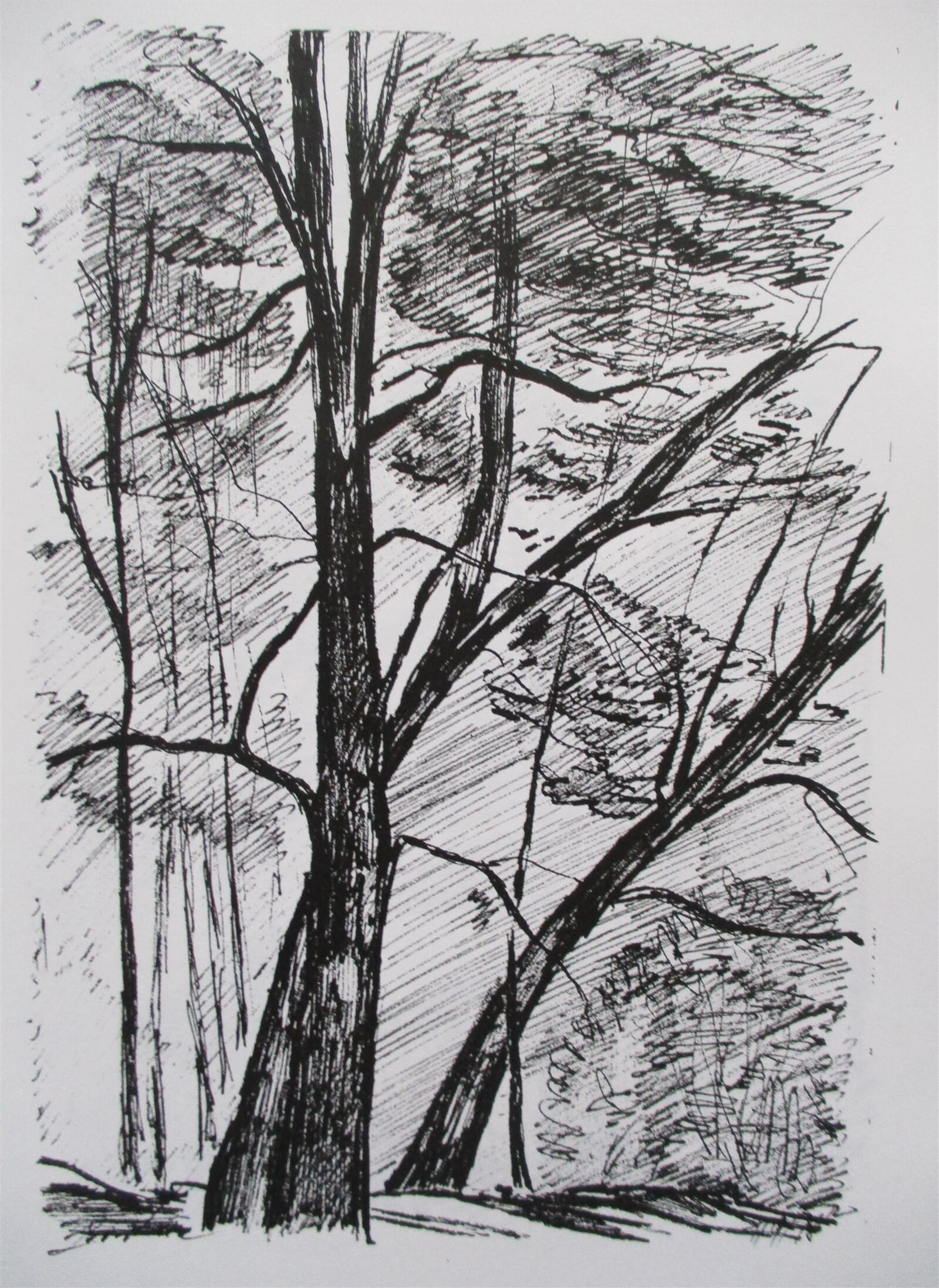 Jaroslava Jáněová: Žloukovice, 21 × 15 cm