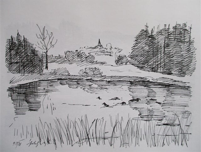 Spolský rybník, v pozadí Mladošovice