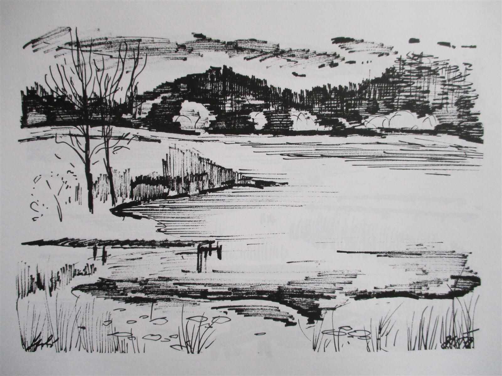 Jaroslava Jáněová: Spolský rybník, 15 × 21 cm