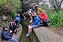 Foto - To nejlepší z Madeiry + HORSKÁ TURISTIKA + PLAVBA NA CHRÁNĚNÉ OSTROVY DESERTAS