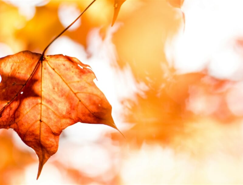 matt uuBBew6g2jM unsplash 