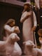 dan kiefer uPl8fJ5Ce2M unsplash