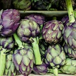 martin adams 5XXfyMMan84 unsplash