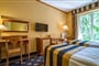 Foto - Mariánské Lázně - Wellnes & SPA hotel Richard Mariánské Lázně s procedurami