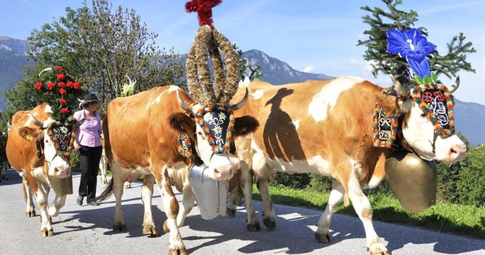 Foto - Pitztal - Údolí Pitztal a Kaunertal - alpské pokladnice pro seniory
