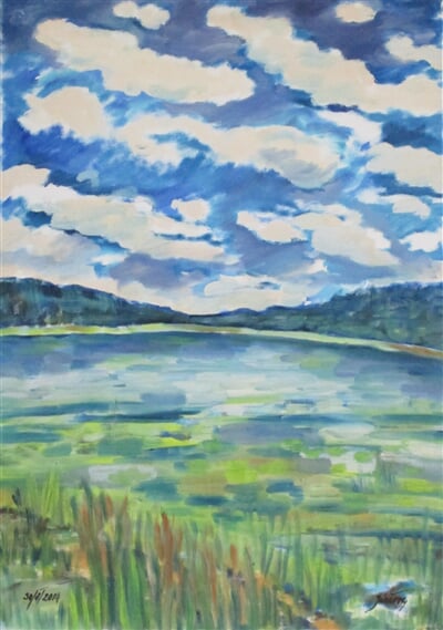 Spolský rybník, Jižní Čechy