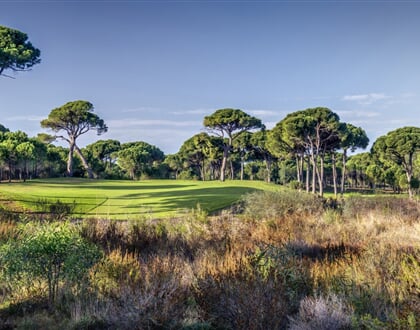 HOLE 7   FALDO S CHOICE